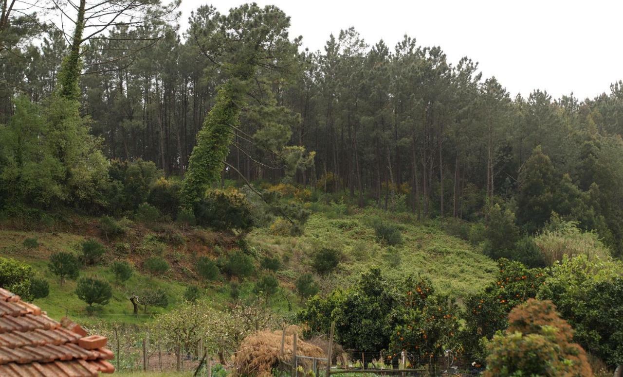 Vila Casa Da Tia Dulce Pataias Exteriér fotografie
